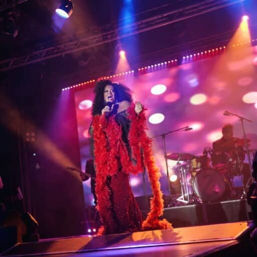 Diana Ross -Queen of Motown Tribute Show